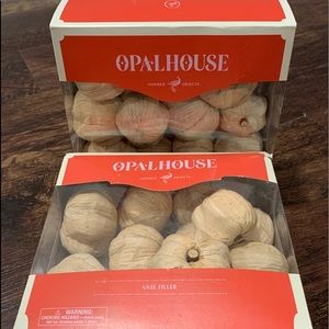 Mini pumpkin vase fillers